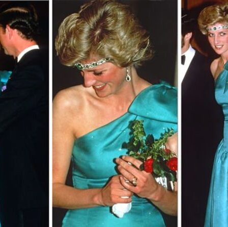 Le tour de cou émeraude de la princesse Diana qui s'est coincé sur la tête de royal vaut 15 millions de livres sterling