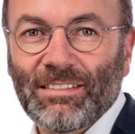 Le voile de Bruxelles glisse complètement alors que le principal eurodéputé allemand exige l'armée de l'UE : « Nous avons besoin de force !