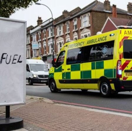 L'équipe d'ambulance est restée bloquée pendant des HEURES après que «l'égoïsme des gens» a généré une pénurie de diesel
