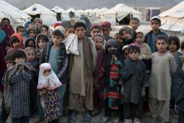 Les Afghans sont confrontés à la pauvreté universelle avec un pays au bord d'une crise humanitaire "complète"