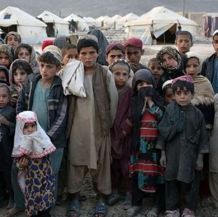 Les Afghans sont confrontés à la pauvreté universelle avec un pays au bord d'une crise humanitaire "complète"