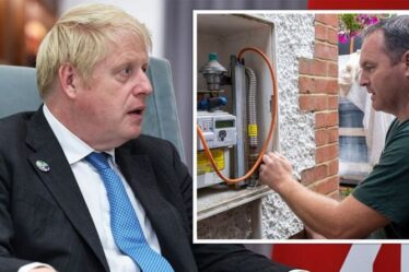 Les Britanniques font face à une facture de 2 500 £ pour remplacer les tuyaux de chauffage inadaptés après des « complications majeures »