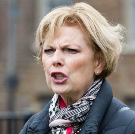 Les Britanniques lancent une attaque furieuse alors qu'Anna Soubry "obsédée" s'en prend au Brexit