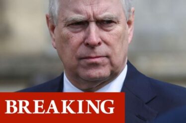 Les allégations de viol du prince Andrew «tout à fait convaincues» vont «s'effondrer» – planification du retour royal