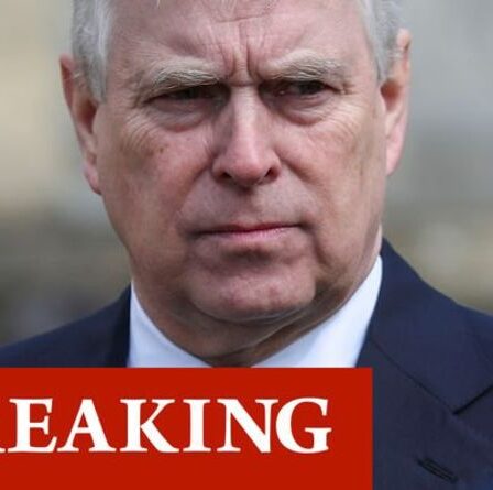 Les allégations de viol du prince Andrew «tout à fait convaincues» vont «s'effondrer» – planification du retour royal