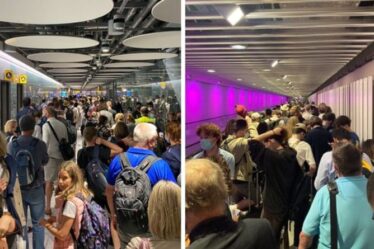 Les arrivées d'Heathrow font la queue pendant «cinq heures» et disent que certains «s'évanouissent» au milieu du chaos de l'aéroport