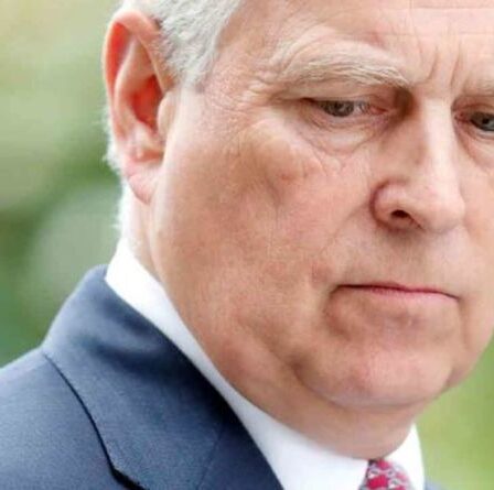 Les avocats du prince Andrew "affirment que les documents judiciaires dans une affaire de viol n'ont PAS été correctement signifiés"