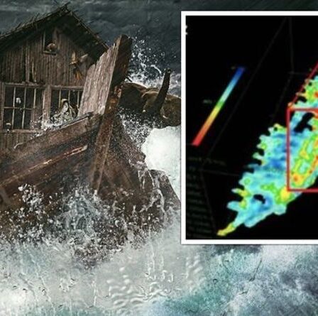 Les chasseurs de l'Arche de Noé affirment avoir trouvé une "forme correspondant à la description de la Bible" lors des analyses