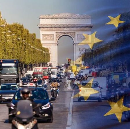 Les conducteurs auront besoin de plus d'« incitations » et de « subventions à long terme » pour changer de véhicule électrique