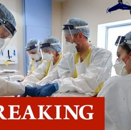 Les décès de Covid au Royaume-Uni s'effondrent clairement après de nouvelles craintes de verrouillage: "Les chiffres baissent!"