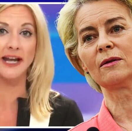 Les demandes de l'armée européenne sont déchirées alors qu'un ancien député européen souligne pourquoi la force militaire ne fonctionnera pas