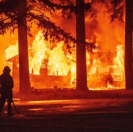 Les enfants "face à l'avenir des inondations, des incendies et de la sécheresse"