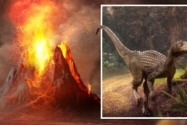 Les éruptions volcaniques "plus grandes que tout dans l'histoire de l'humanité" ont aidé les dinosaures à atteindre le sommet