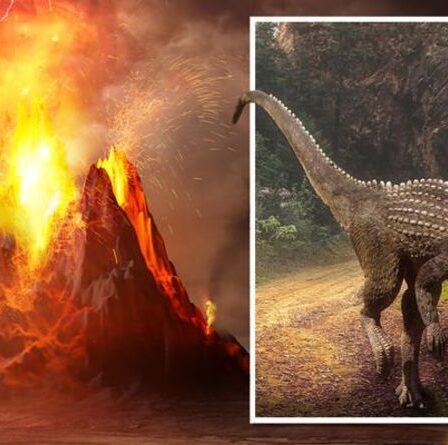 Les éruptions volcaniques "plus grandes que tout dans l'histoire de l'humanité" ont aidé les dinosaures à atteindre le sommet
