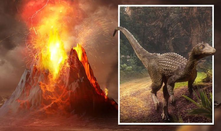 Les éruptions volcaniques "plus grandes que tout dans l'histoire de l'humanité" ont aidé les dinosaures à atteindre le sommet