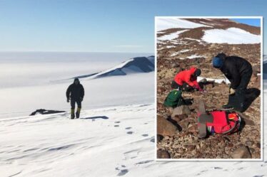 Les experts de l'Antarctique déconcertés par une "zone morte" où même les microbes n'existent pas : "Pas possible"