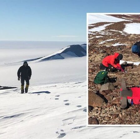Les experts de l'Antarctique déconcertés par une "zone morte" où même les microbes n'existent pas : "Pas possible"