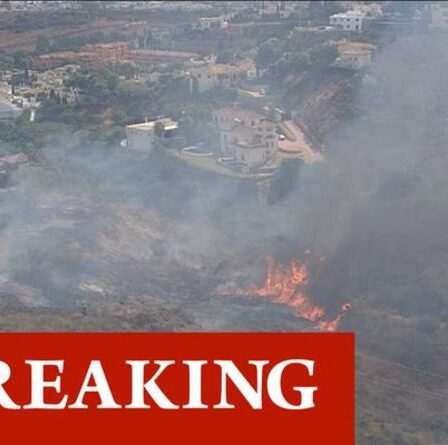 Les incendies de la Costa del Sol déclenchent une évacuation massive – des Britanniques parmi des centaines fuyant le point chaud des vacances