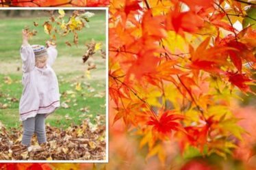 Les jardins britanniques les plus populaires à visiter en automne sont nommés « un petit coin de paradis »