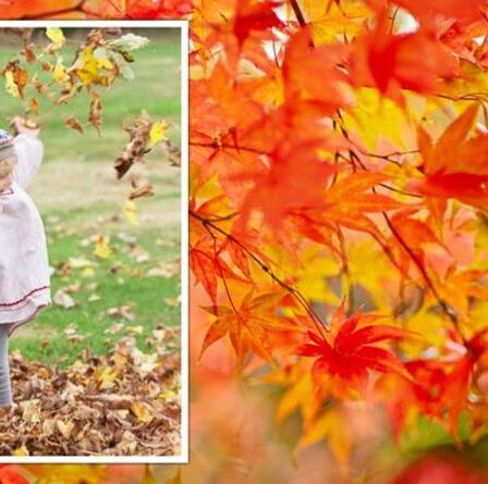 Les jardins britanniques les plus populaires à visiter en automne sont nommés « un petit coin de paradis »