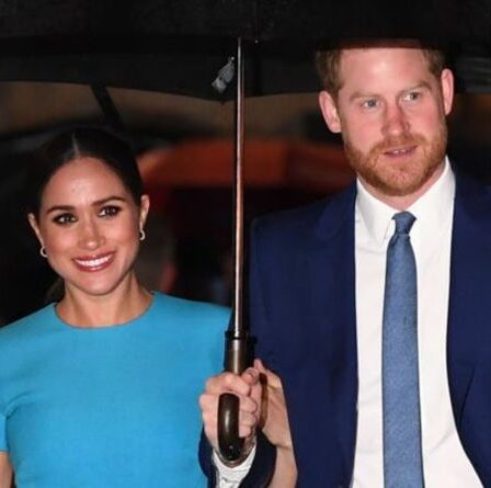 Les patrons de Netflix font allusion à « nous ne connaissons pas la moitié » des projets à venir des Sussex