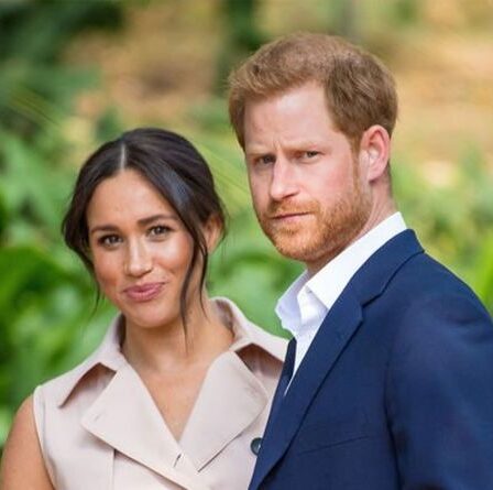 Les projets Netflix de Meghan et Harry boudés : "Environ aussi excitant qu'un muffin sans gluten !"