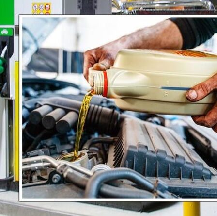 Les propriétaires d'essence utilisant des additifs après les changements de carburant E10 reçoivent un nouvel avertissement