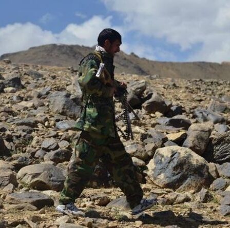 Les talibans ont averti "qu'ils paieront le prix fort de leur sang" alors que les forces rebelles s'amassent dans la vallée