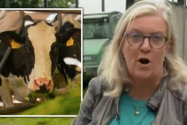 Les téléspectateurs de Countryfile exaspérés par le segment de vache « inacceptable » « Pas d'accord ! »
