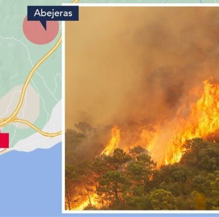 Les zones NO GO de la Costa Del Sol sont cartographiées alors que des incendies de forêt ravagent le point chaud des vacances en Espagne