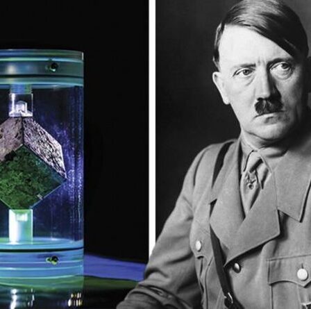 L'horreur de la Seconde Guerre mondiale alors que 600 cubes d'uranium nazi destinés à l'arme nucléaire d'Hitler sont portés disparus