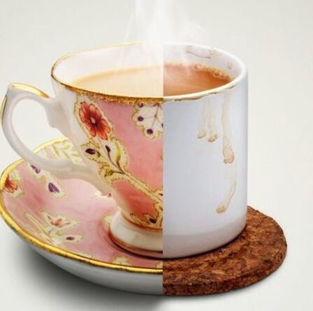 "L'obsession de la politesse" empêche les Britanniques de s'enrichir, selon un millionnaire américain