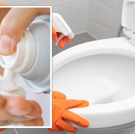 « L'odeur disparaît ! » Les fans de Mme Hinch partagent un «truc» de 69p pour éliminer les odeurs d'urine des toilettes