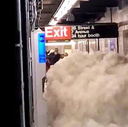 L'ouragan Ida fait 29 morts alors que des crues éclair créent un mur d'eau dans le métro américain