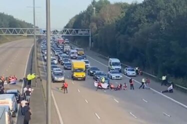 Manifestation M25: Moment où la police riposte enfin après la prise d'assaut de l'autoroute - REGARDER