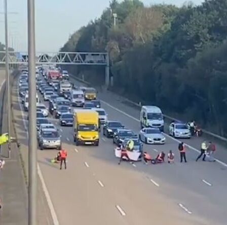 Manifestation M25: Moment où la police riposte enfin après la prise d'assaut de l'autoroute - REGARDER