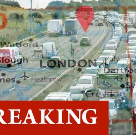 Manifestations du M25 MAPPED : Où les manifestants pour le climat bloquent-ils la circulation sur le M25 aujourd'hui ?