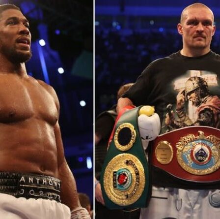 Match revanche Joshua vs Usyk: Anthony Joshua combattra-t-il à nouveau Usyk après la défaite?  Détails de la clause AJ