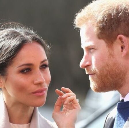 Meghan et Harry sous «une pression énorme» alors que l'accord avec Netflix ouvre un «monde impitoyable»