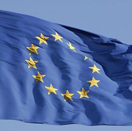 Même un initié de l'UE déchire les appels à une armée européenne - « Pas voulu et ce n'est pas la réponse ! »