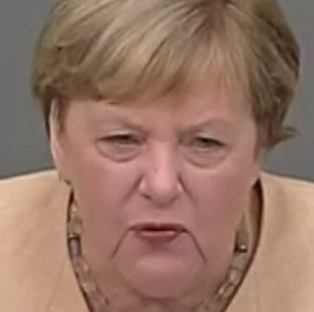 Merkel le perd au Bundestag après des interruptions constantes : « Je dis la VÉRITÉ !