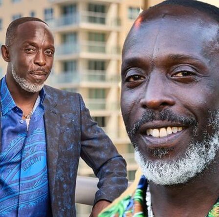 Mort de Michael K. Williams : l'acteur Omar Little de The Wire retrouvé mort dans son appartement à 54 ans