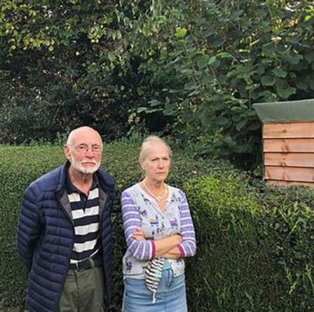 Musicien de la RAF qui a joué pour la reine furieux dans un jardin envahi par la végétation à côté