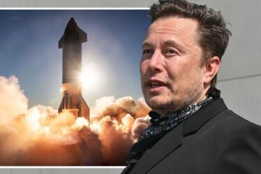 Musk fait face à un autre cauchemar alors que des militants affirment que le site de lancement de SpaceX menace la faune