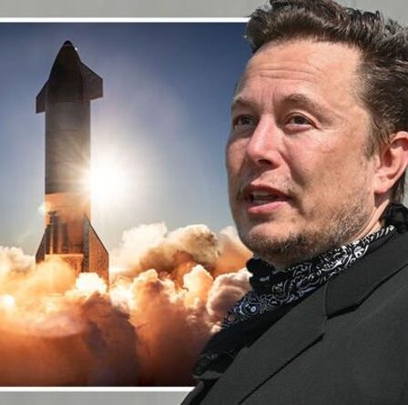 Musk fait face à un autre cauchemar alors que des militants affirment que le site de lancement de SpaceX menace la faune