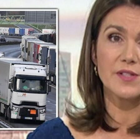 « Nous devons former des chauffeurs BRITANNIQUES ! »  Susanna Reid s'en prend aux visas étrangers de courte durée