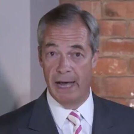 « Nous ne pouvons pas faire confiance à l'Amérique ! »  Nigel Farage s'inquiète de la présidence de Joe Biden