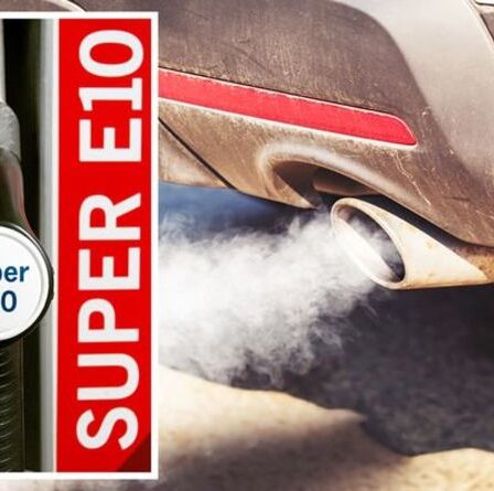 "Nous sommes en retard": le carburant E10 critiqué car les pays européens utilisent déjà des essences "plus vertes"