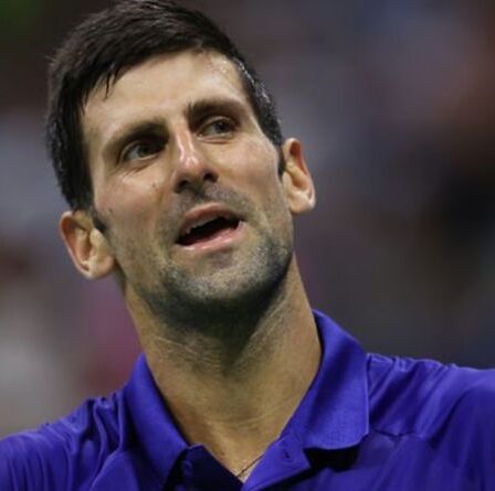 Novak Djokovic "aime" le problème de Roger Federer et Rafael Nadal à l'US Open