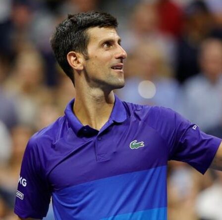Novak Djokovic pourrait "ne plus jamais gagner un autre Grand Chelem" pour tenter de battre le record de Federer et Nadal